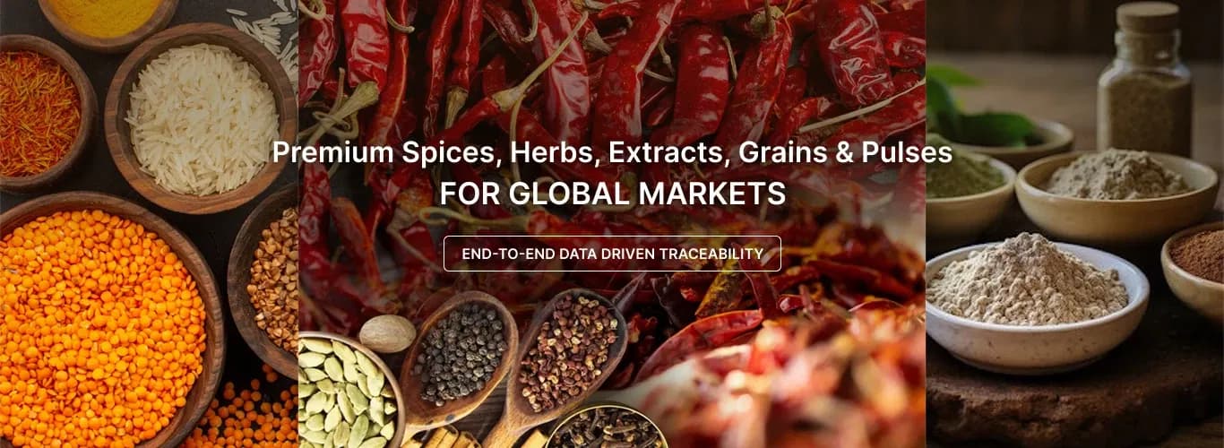 Premium Spices, Herbs, Botanical Extracts, Grains, Pulses for Global Markets