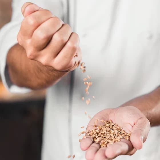 website/HomePage/grain-precision-img.webp